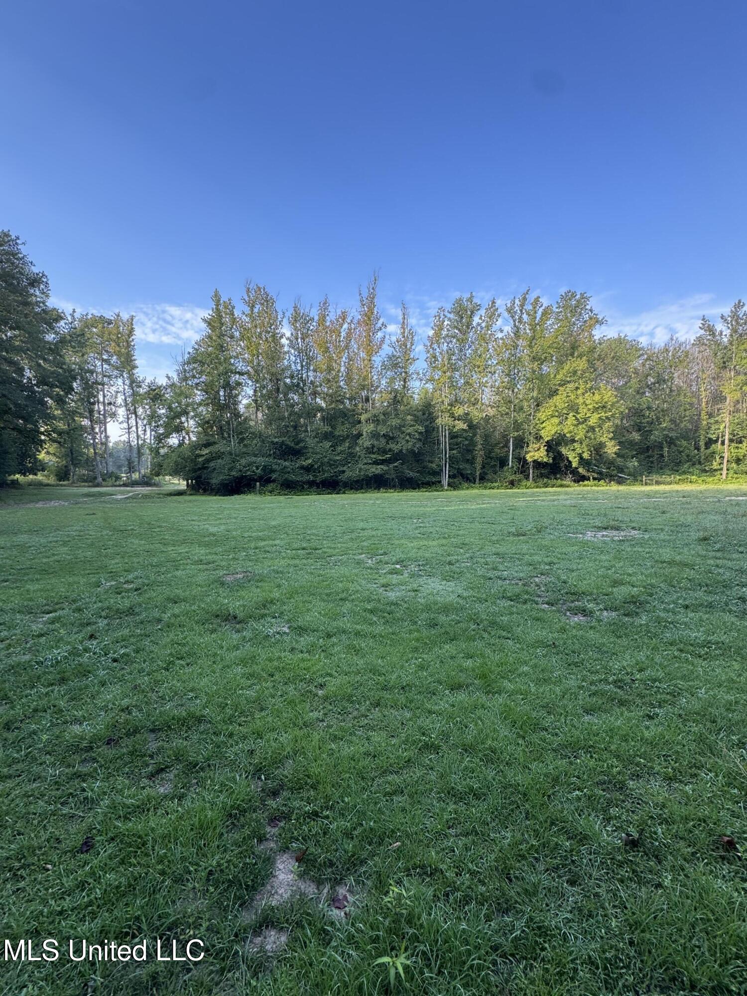 51 Gunter Street Lena, MS 39094 - Photo 25 of 45 IMG_8784