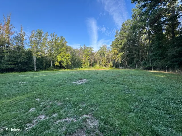 $225,000 | 51 Gunter Street, Lena, MS 39094