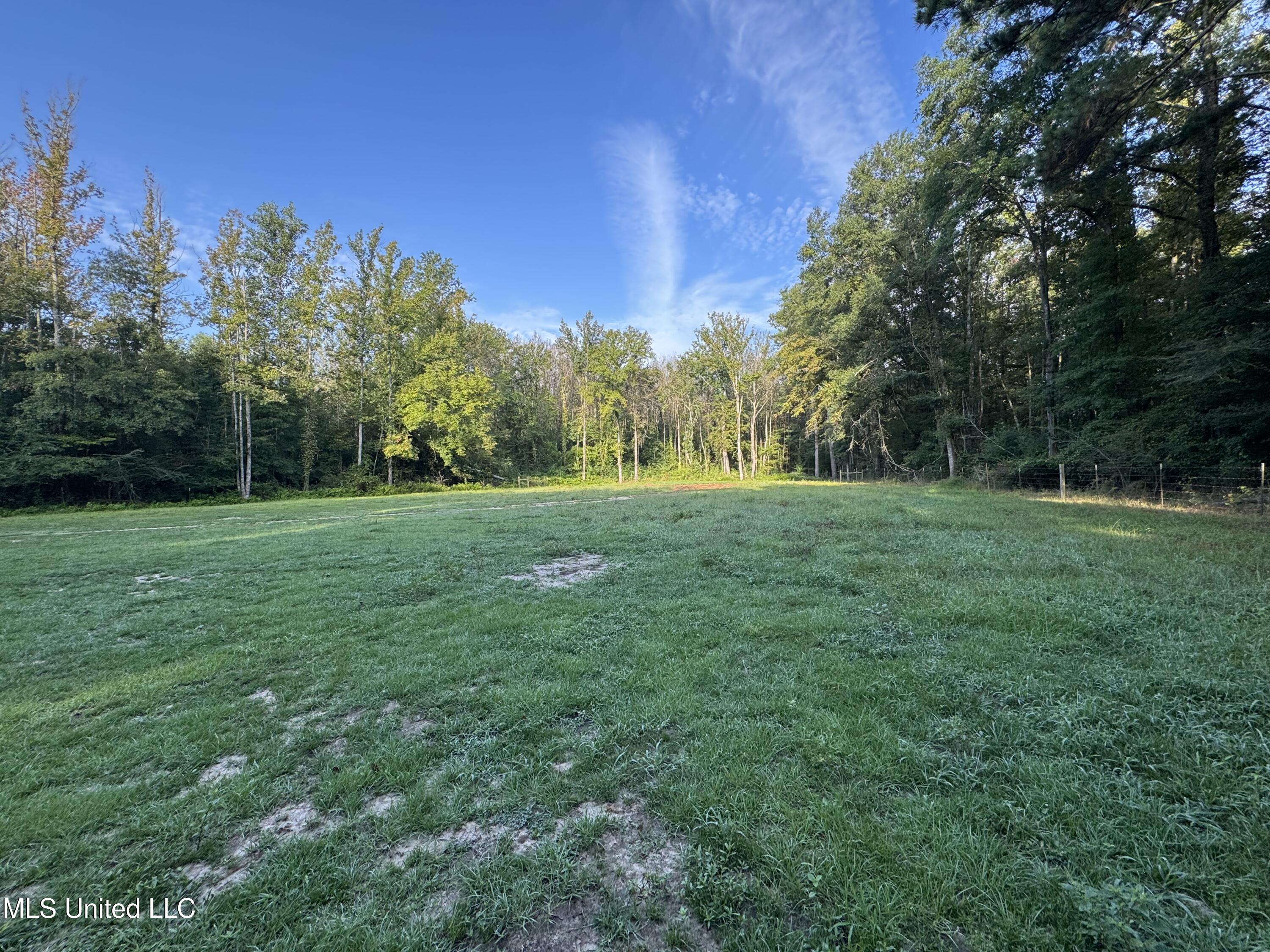 51 Gunter Street Lena, MS 39094 - Photo 26 of 45 IMG_8781