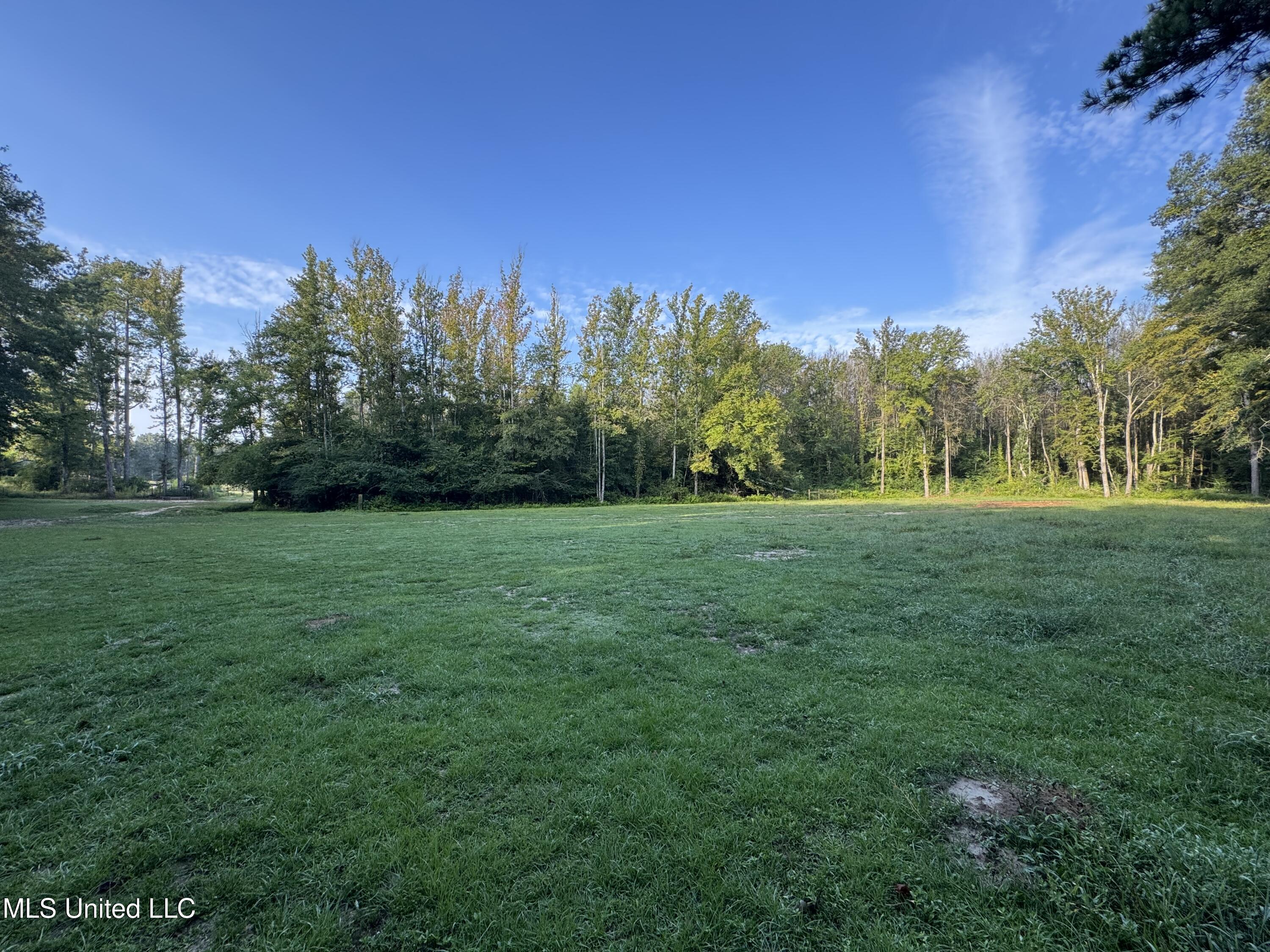 51 Gunter Street Lena, MS 39094 - Photo 27 of 45 IMG_8783