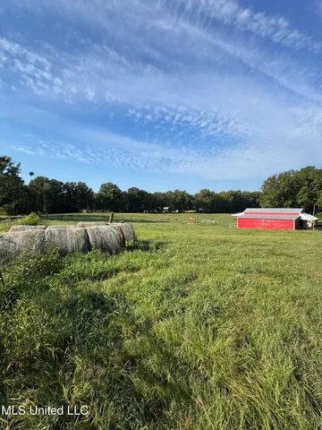 $225,000 | 51 Gunter Street, Lena, MS 39094