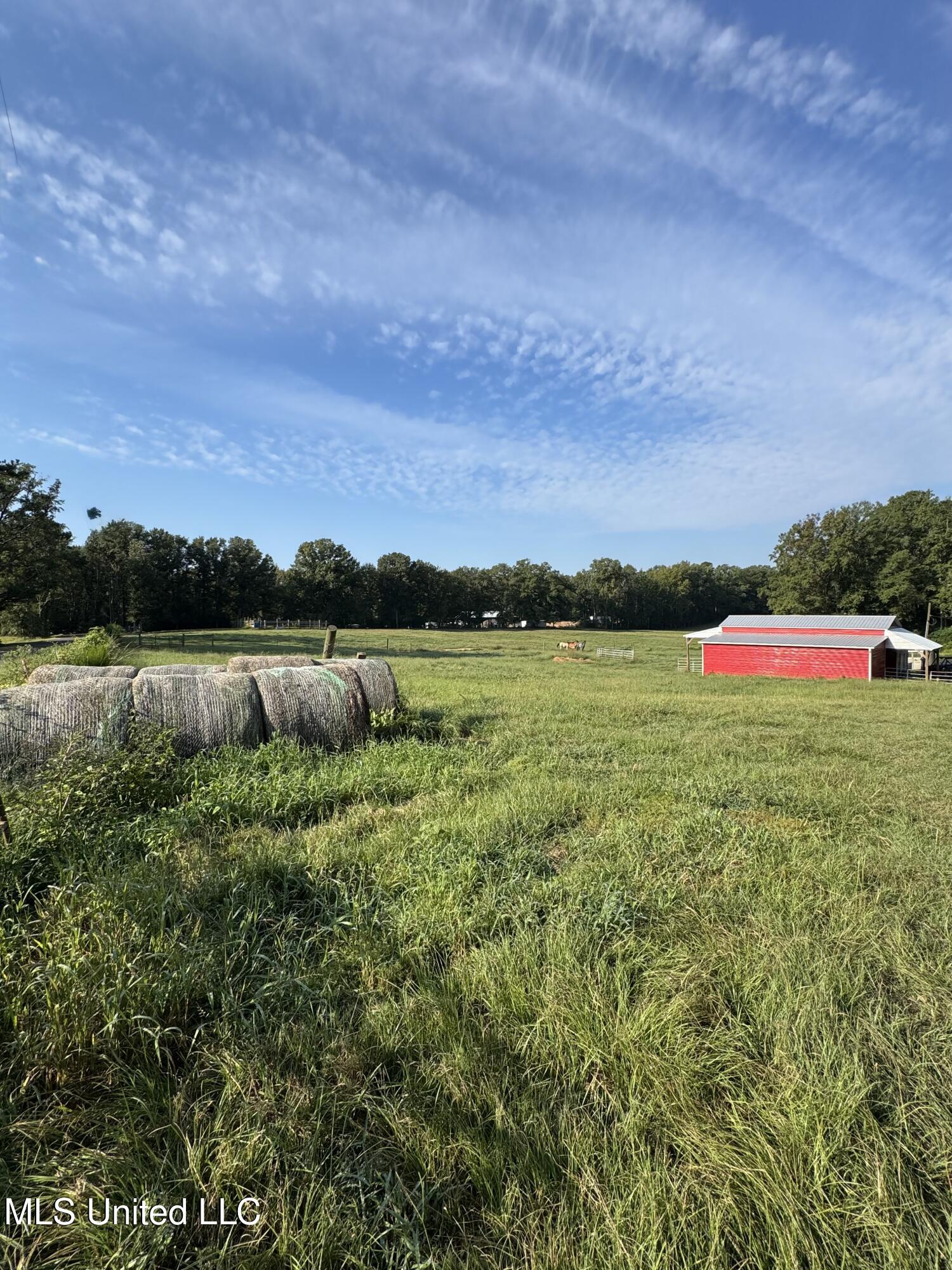 51 Gunter Street Lena, MS 39094 - Photo 3 of 45 IMG_8827