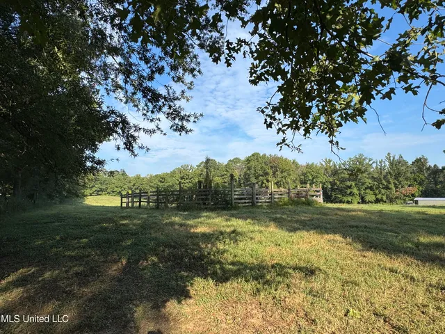 $225,000 | 51 Gunter Street, Lena, MS 39094