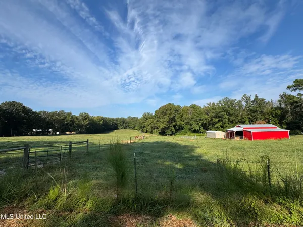 $199,900 | 51 Gunter Street, Lena, MS 39094