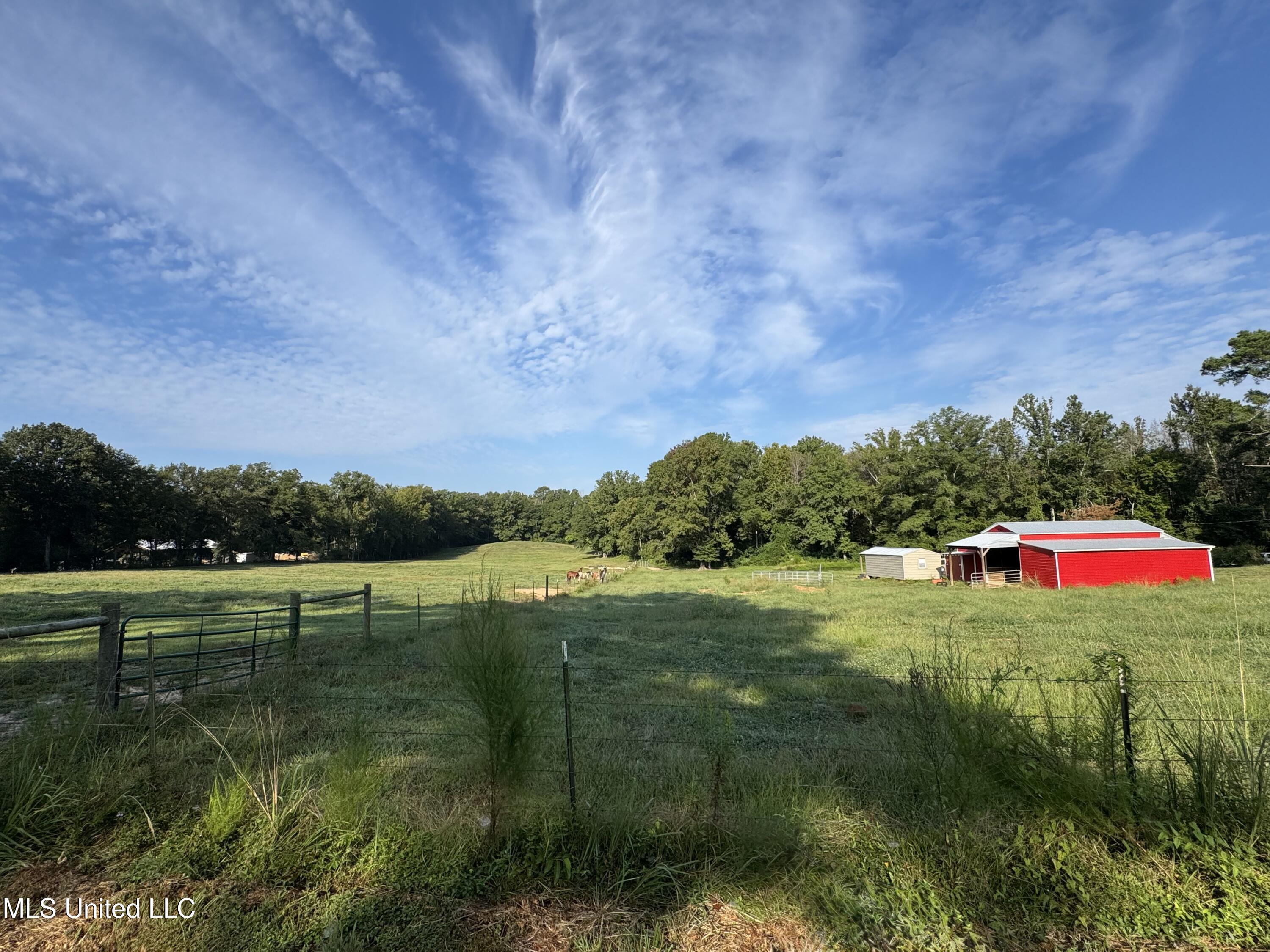 51 Gunter Street Lena, MS 39094 - Photo 4 of 45 IMG_8830