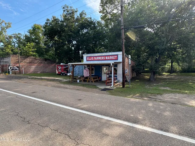 $225,000 | 51 Gunter Street, Lena, MS 39094