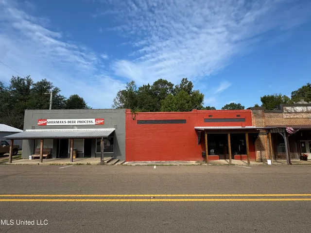 $225,000 | 51 Gunter Street, Lena, MS 39094