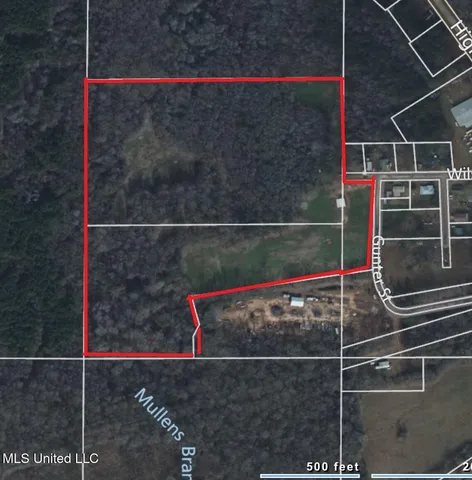 $225,000 | 51 Gunter Street, Lena, MS 39094