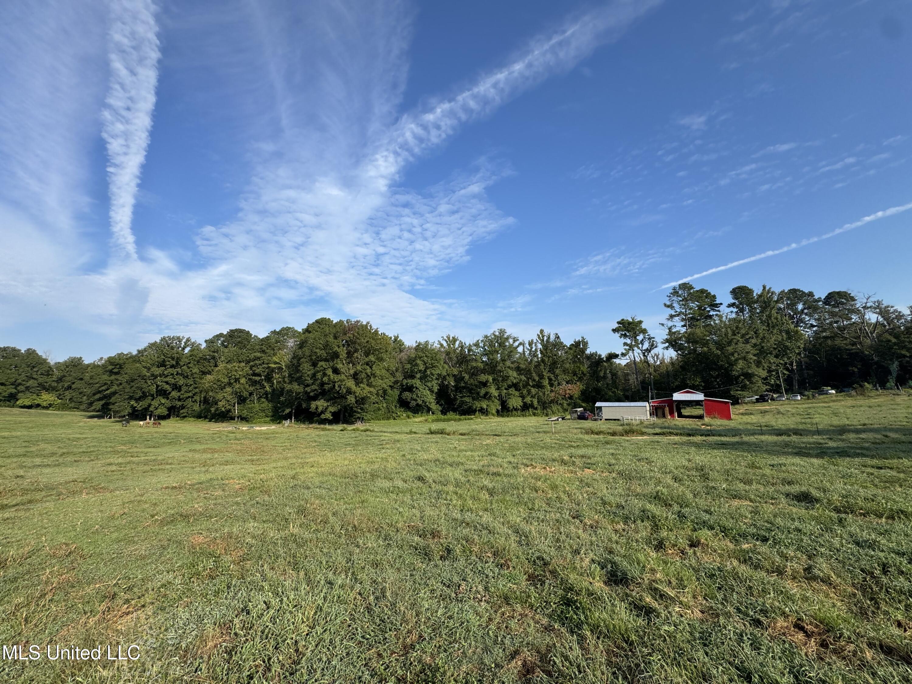 51 Gunter Street Lena, MS 39094 - Photo 5 of 45 IMG_8806