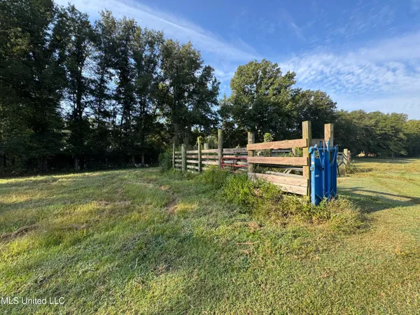 $199,900 | 51 Gunter Street, Lena, MS 39094