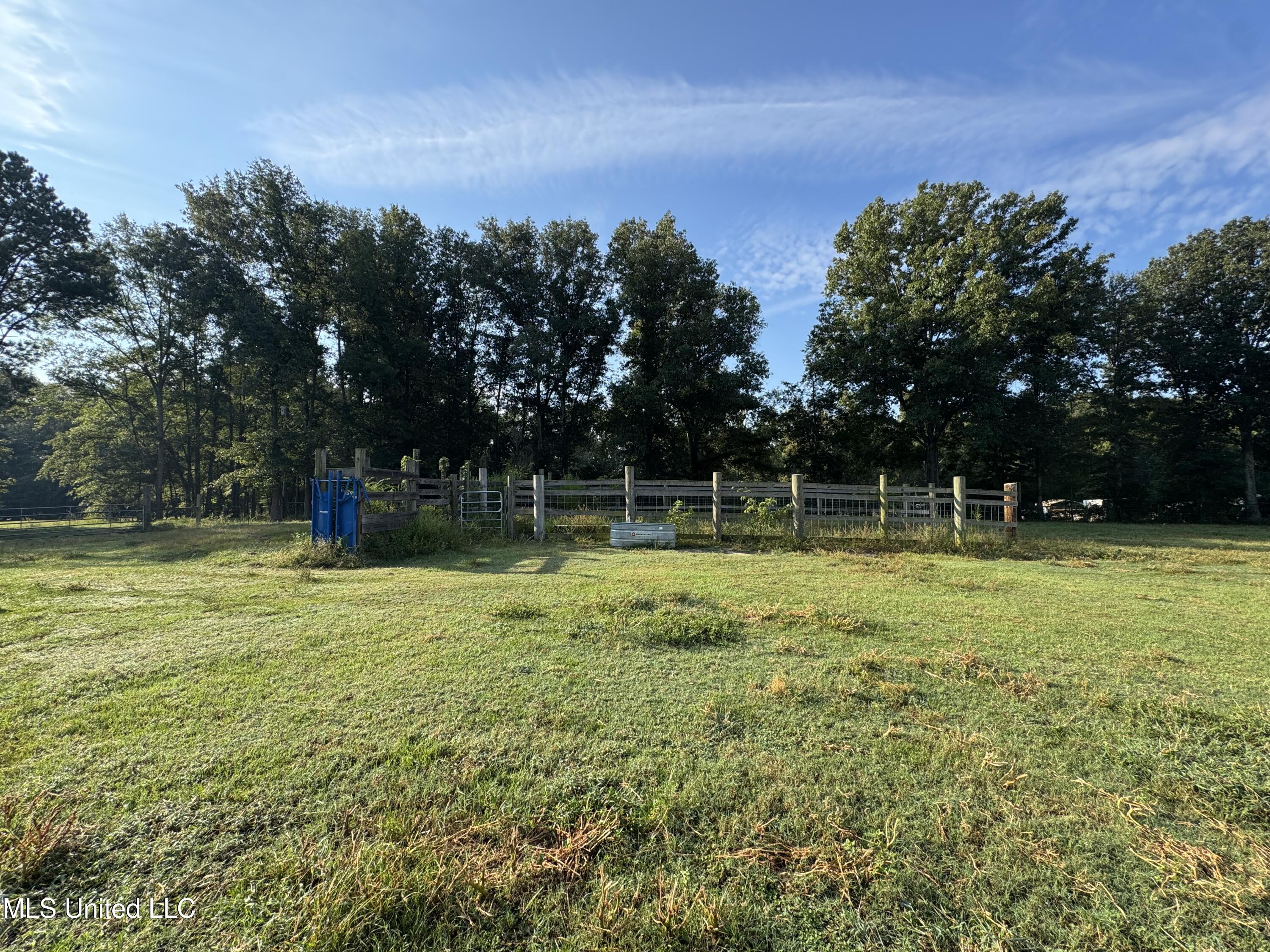 51 Gunter Street Lena, MS 39094 - Photo 7 of 45 IMG_8805