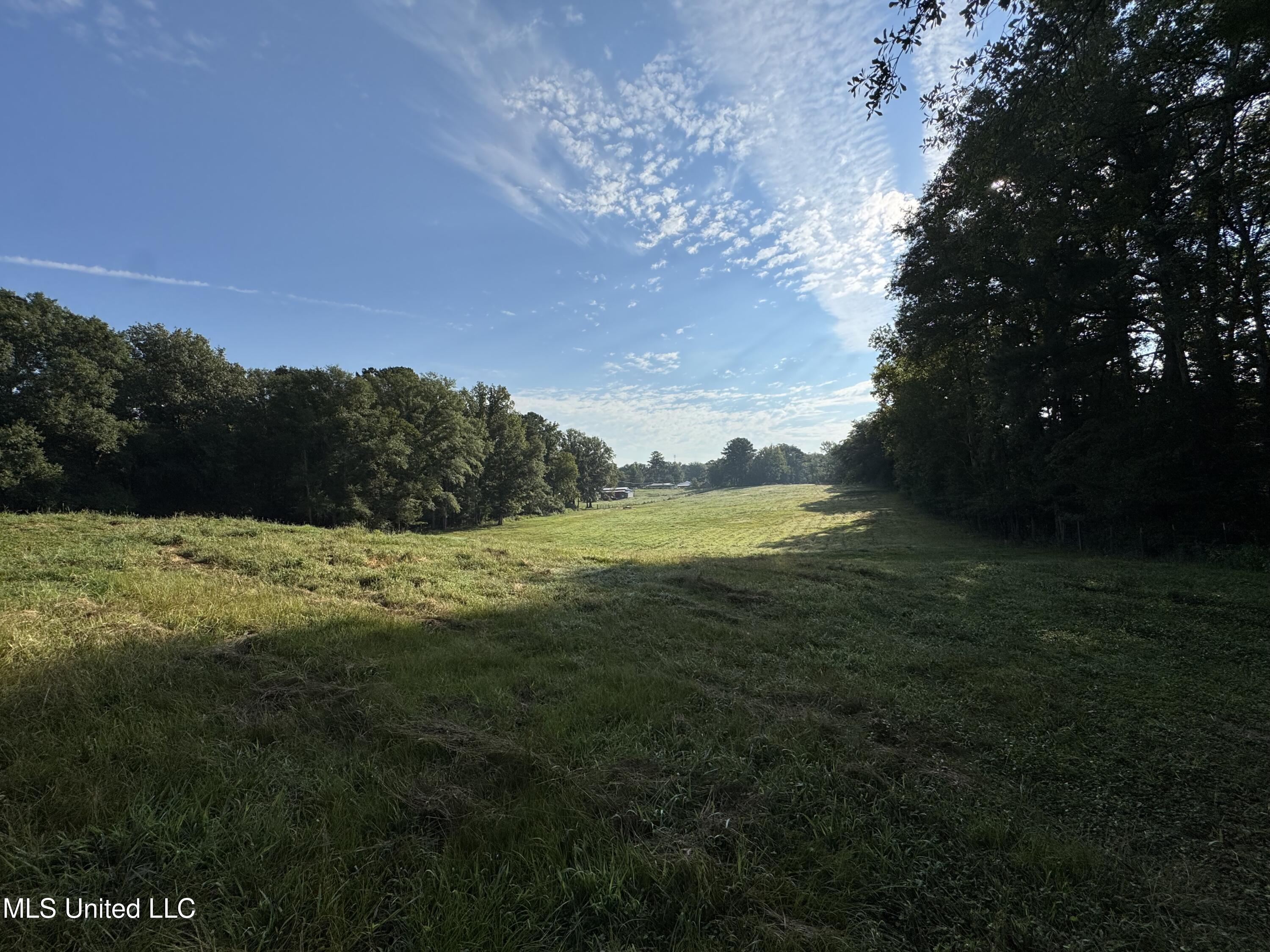 51 Gunter Street Lena, MS 39094 - Photo 8 of 45 IMG_8801
