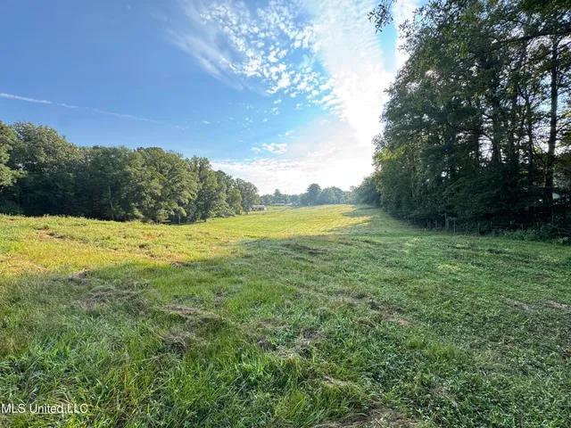 $225,000 | 51 Gunter Street, Lena, MS 39094