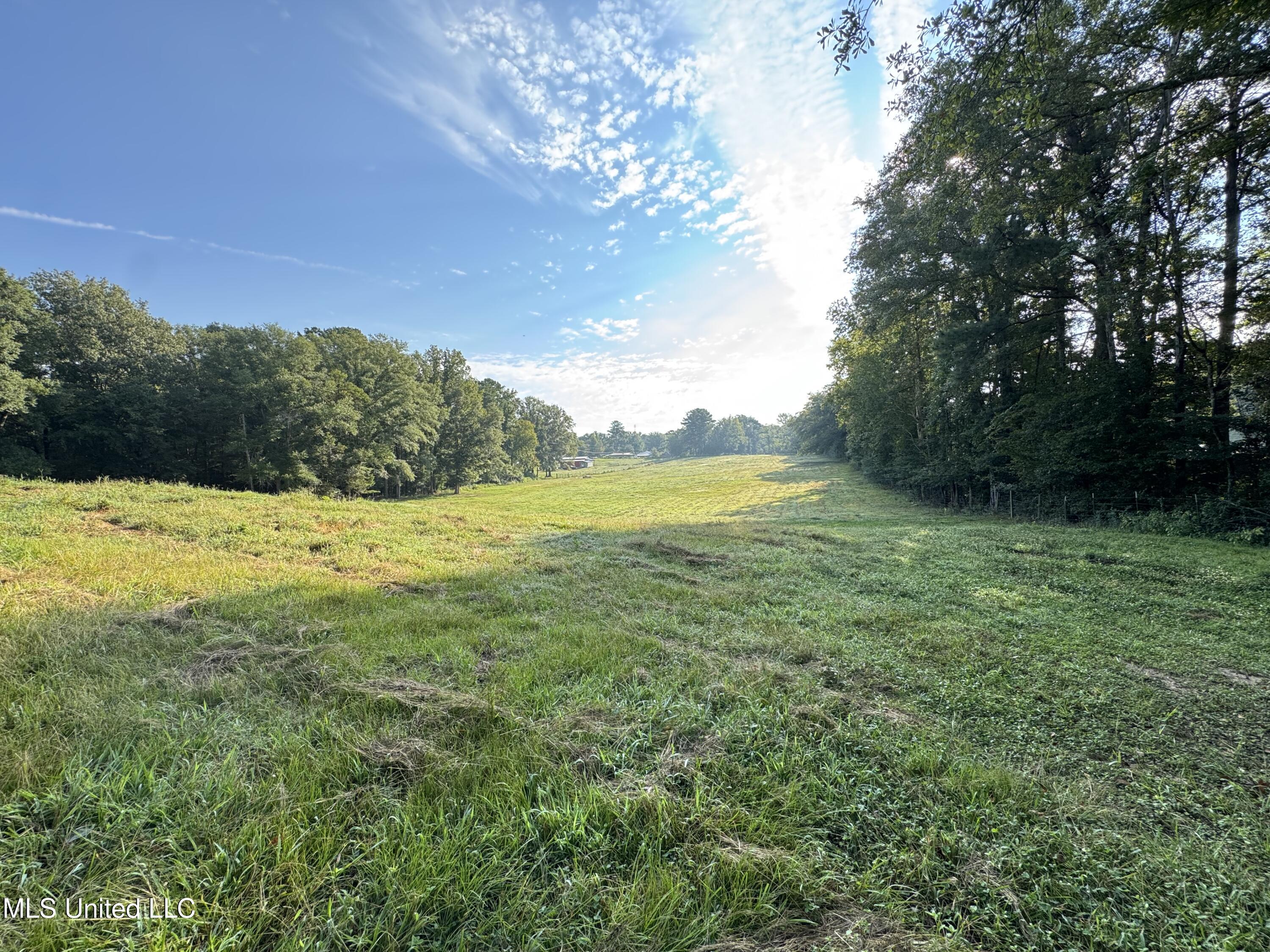 51 Gunter Street Lena, MS 39094 - Photo 9 of 45 IMG_8799