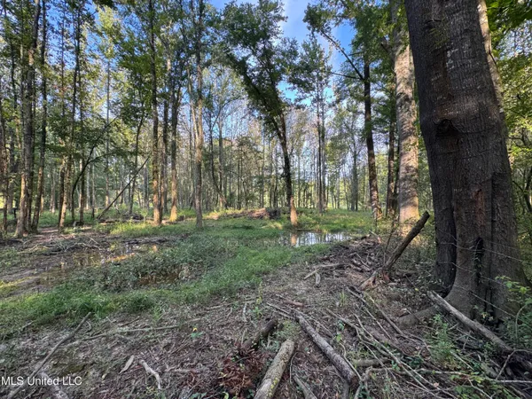 $199,900 | 51 Gunter Street, Lena, MS 39094