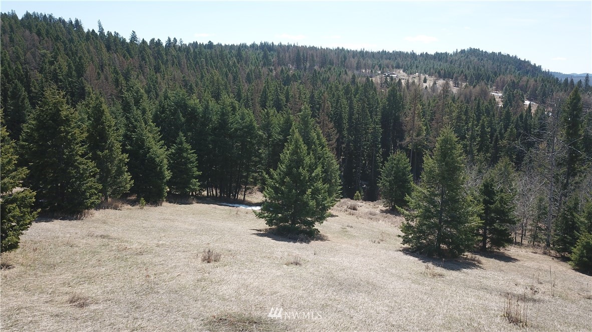 564 C Pontiac Ridge Road, Unit C Oroville, WA 98844 - Photo 1 of 18