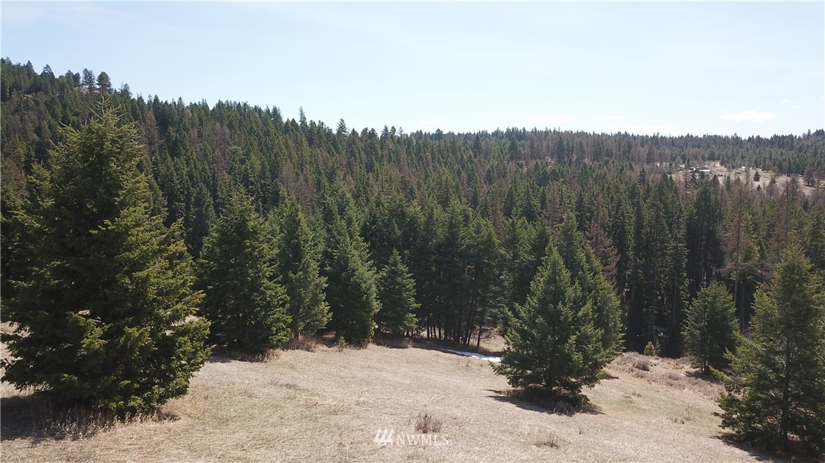 564 C Pontiac Ridge Road, Unit C Oroville, WA 98844 - Photo 12 of 18
