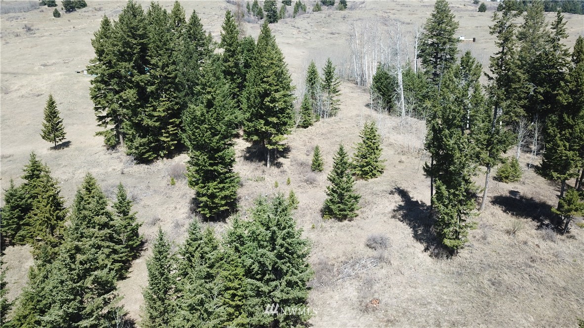 564 C Pontiac Ridge Road, Unit C Oroville, WA 98844 - Photo 14 of 18