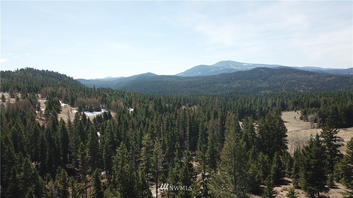 564 C Pontiac Ridge Road, Unit C Oroville, WA 98844 - Photo 15 of 18