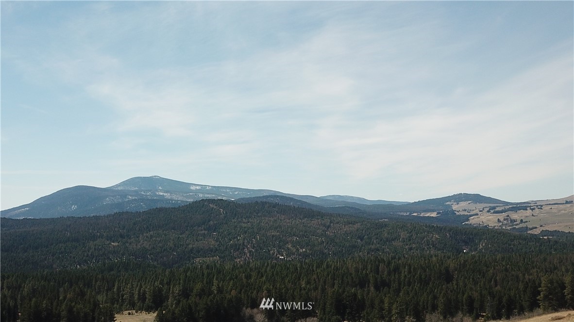 564 C Pontiac Ridge Road, Unit C Oroville, WA 98844 - Photo 16 of 18