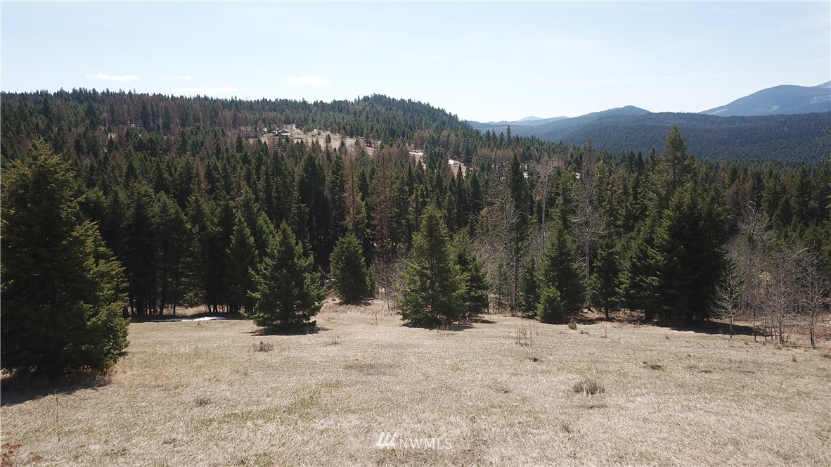 564 C Pontiac Ridge Road, Unit C Oroville, WA 98844 - Photo 4 of 18