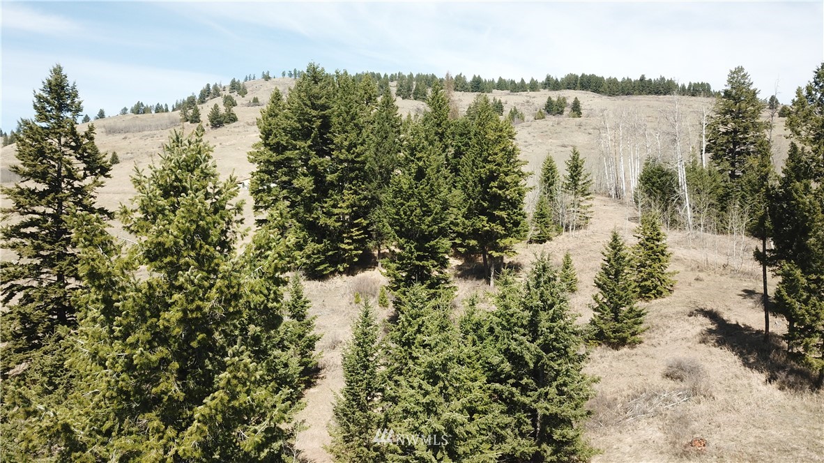 564 C Pontiac Ridge Road, Unit C Oroville, WA 98844 - Photo 7 of 18