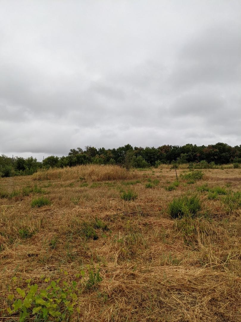 4510 South Clifton Avenue Wichita, KS 67216 - Photo 2 of 3