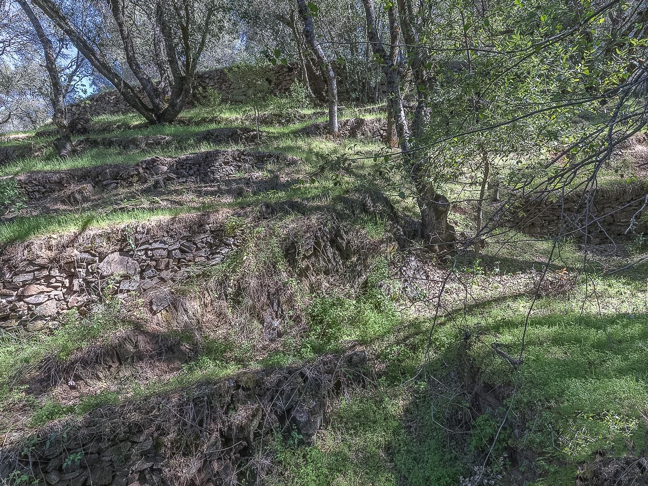 4743 Buffalo Gulch Road Midpines, CA 95345 - Photo 13 of 43 Gallery Image 13