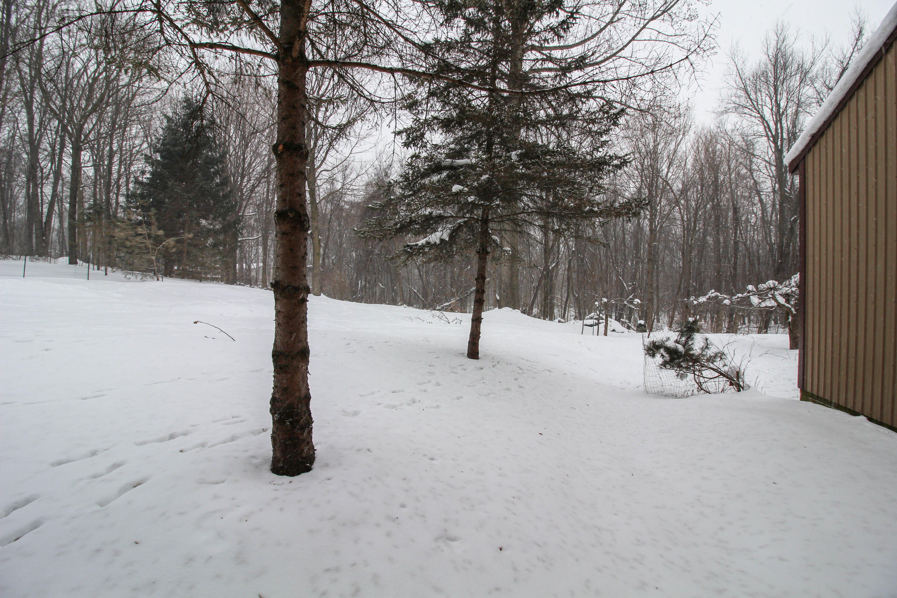 58280 Kirk Lake Road Vandalia, MI 49095 - Photo 28 of 35 Kirk Lake-26