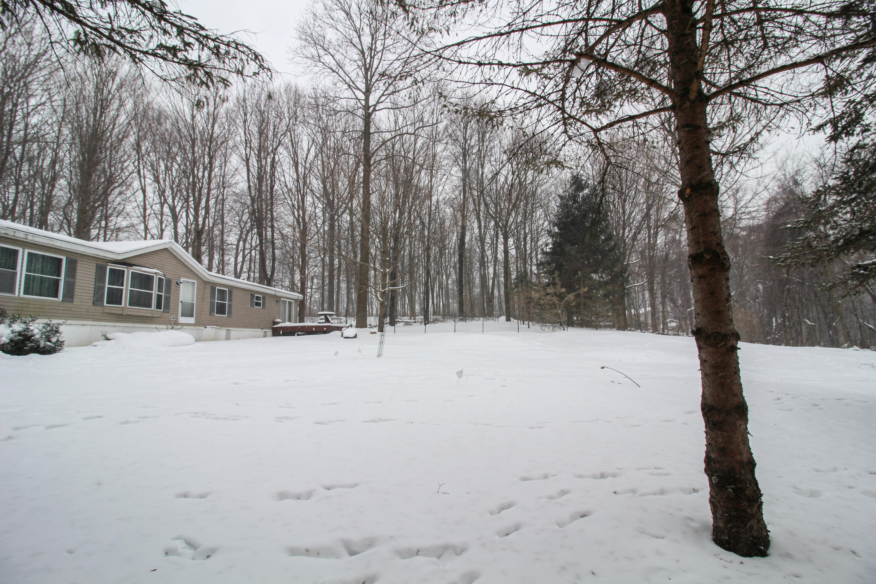 58280 Kirk Lake Road Vandalia, MI 49095 - Photo 33 of 35 Kirk Lake-25