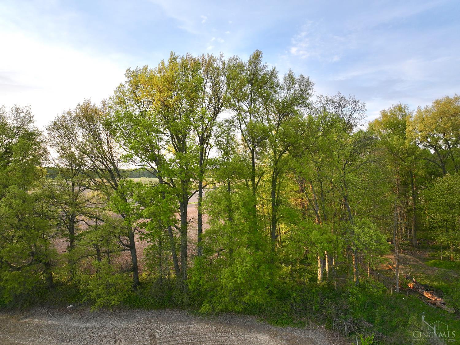 0 Schwallie Road Sardinia, OH 45171 - Photo 20 of 29