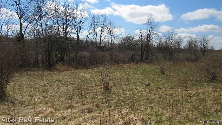 5053 Hidden Ridge Metamora, MI 48455 - Photo 2 of 3