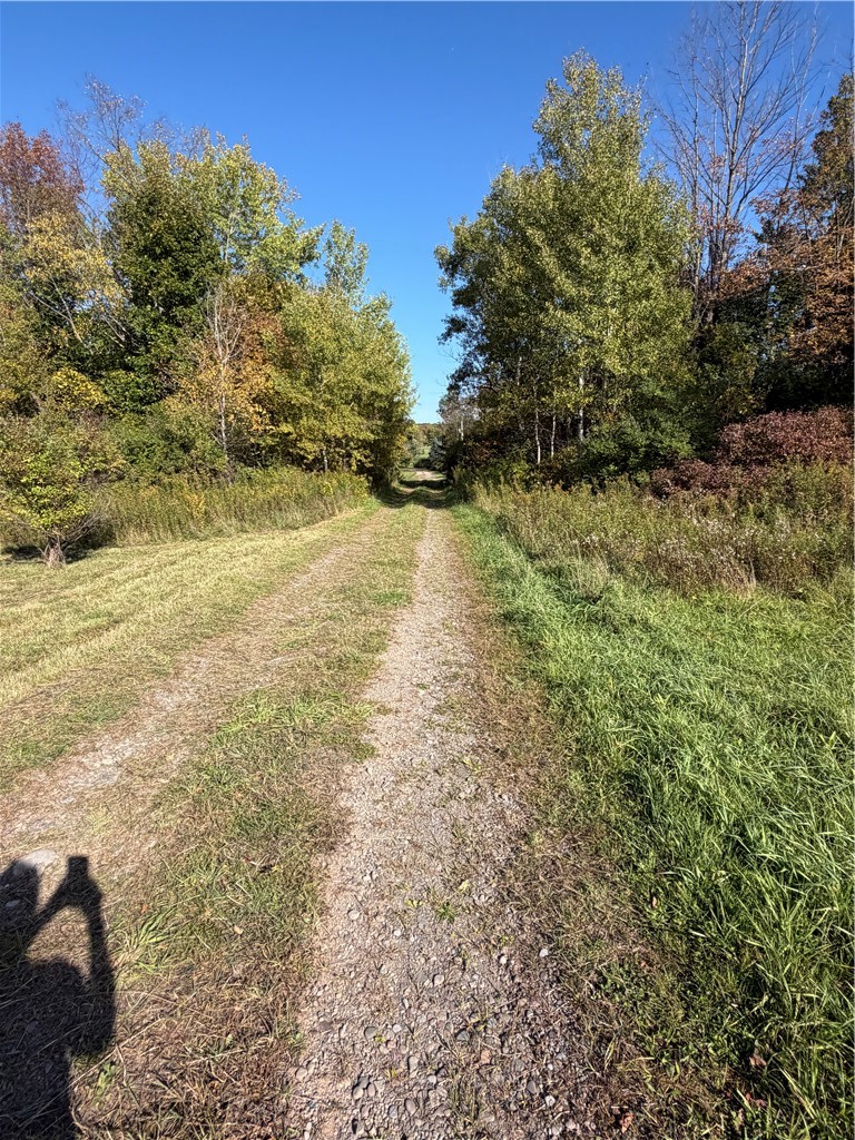 Hardnocks Road Unadilla, NY 13849 - Photo 10 of 11 Gallery Image 10