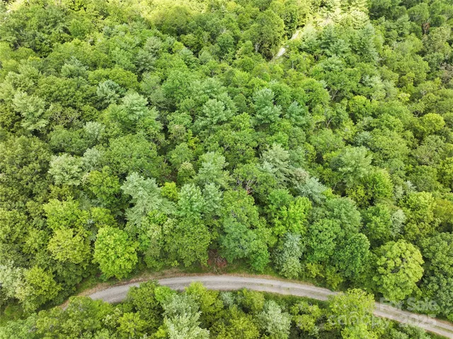 $59,500 | Tbd Emma Bri Lane, Unit 10, Penrose, NC 28766