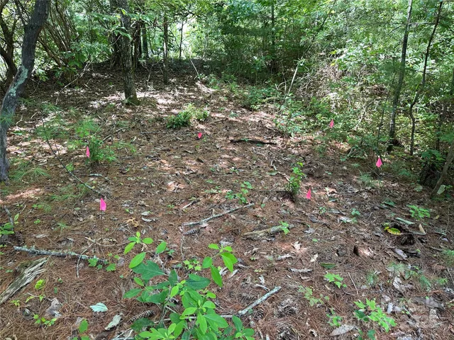 a backyard of a house