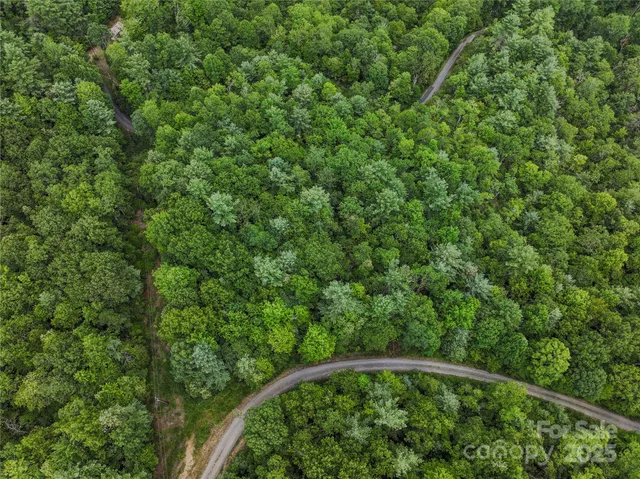 a view of a flower in a garden