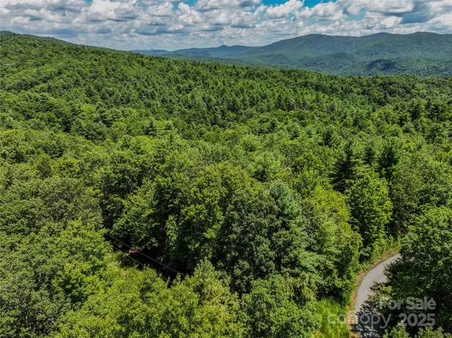 a view of a big yard with plants and large trees