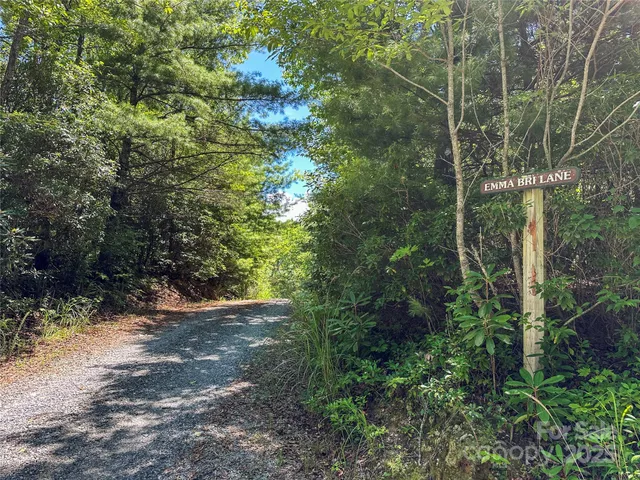 a view of a yard with a outdoor space