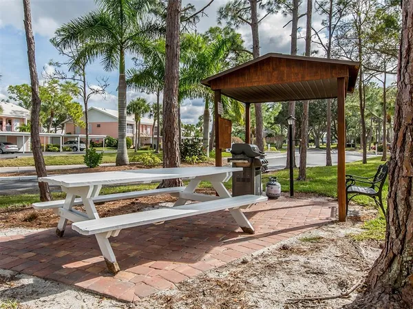 a view of a swimming pool with a lawn chairs under palm trees