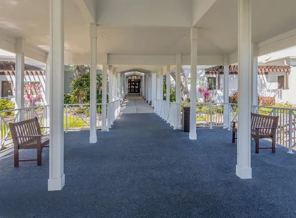 a view of yard