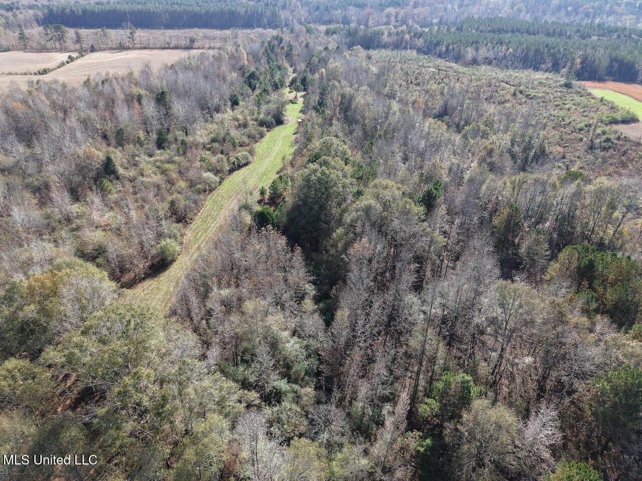 0 Greenland Road Little Rock, MS 39337 - Photo 8 of 40 dji_fly_20251122_133134_0091_17640148857