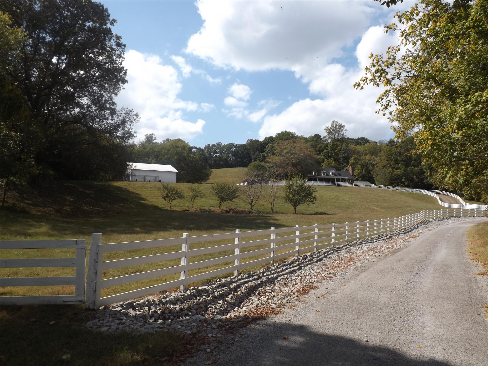 197 Story Road Goodspring, TN 38460 - Photo 3 of 29 a view of a backyard with trees