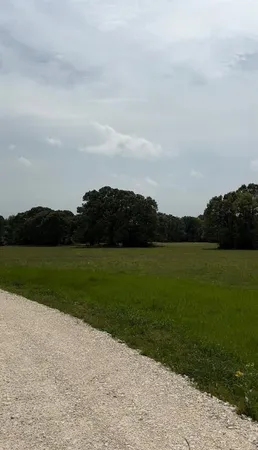 a view of a lake from a yard