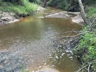 a view of a lake from a yard