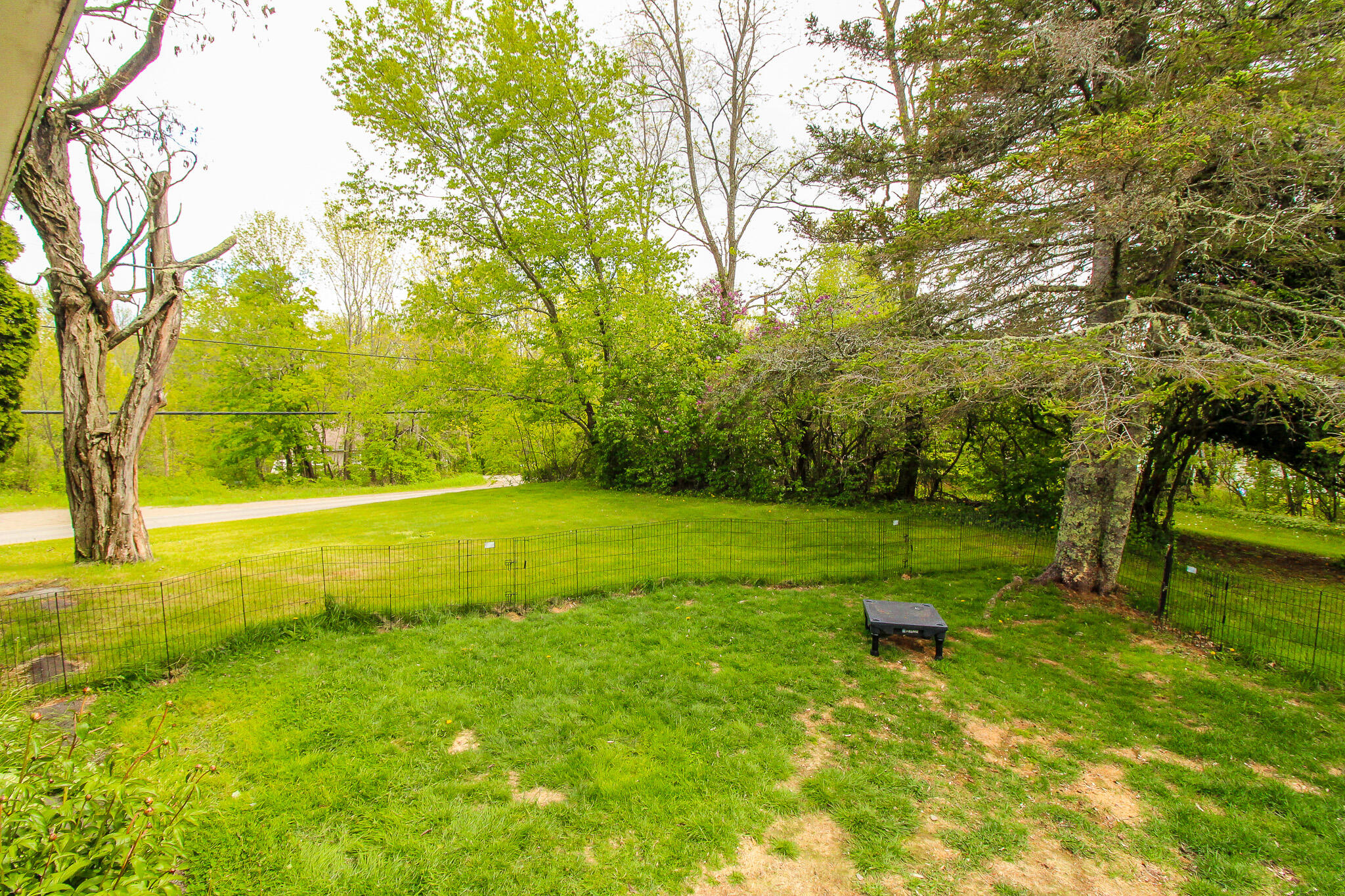 1350 Pushaw Road Glenburn, ME 04401 - Photo 29 of 31 IMG_0003