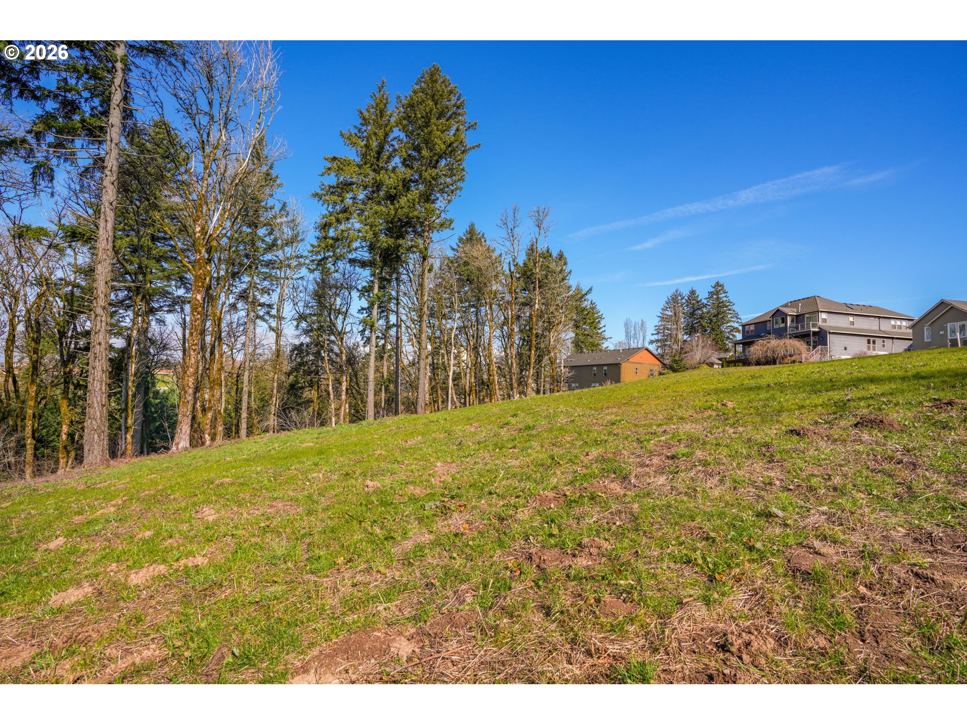3011 Northwest 13th Circle Camas, WA 98607 - Photo 8 of 20 a view of a yard with a tree