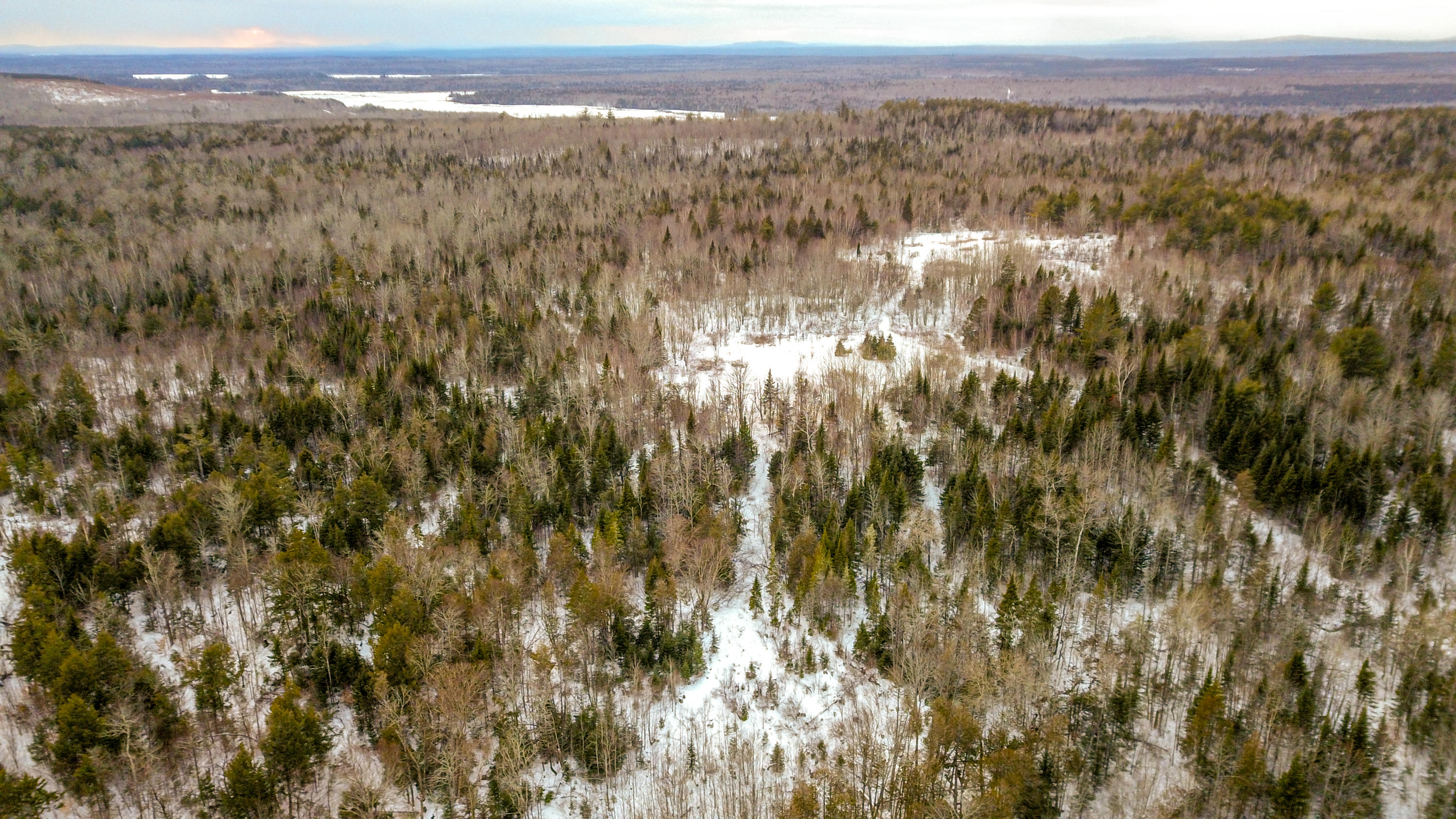 Lot 4-5 Lawler Ridge Road Benedicta, ME 04733 - Photo 14 of 21 Edited-17-