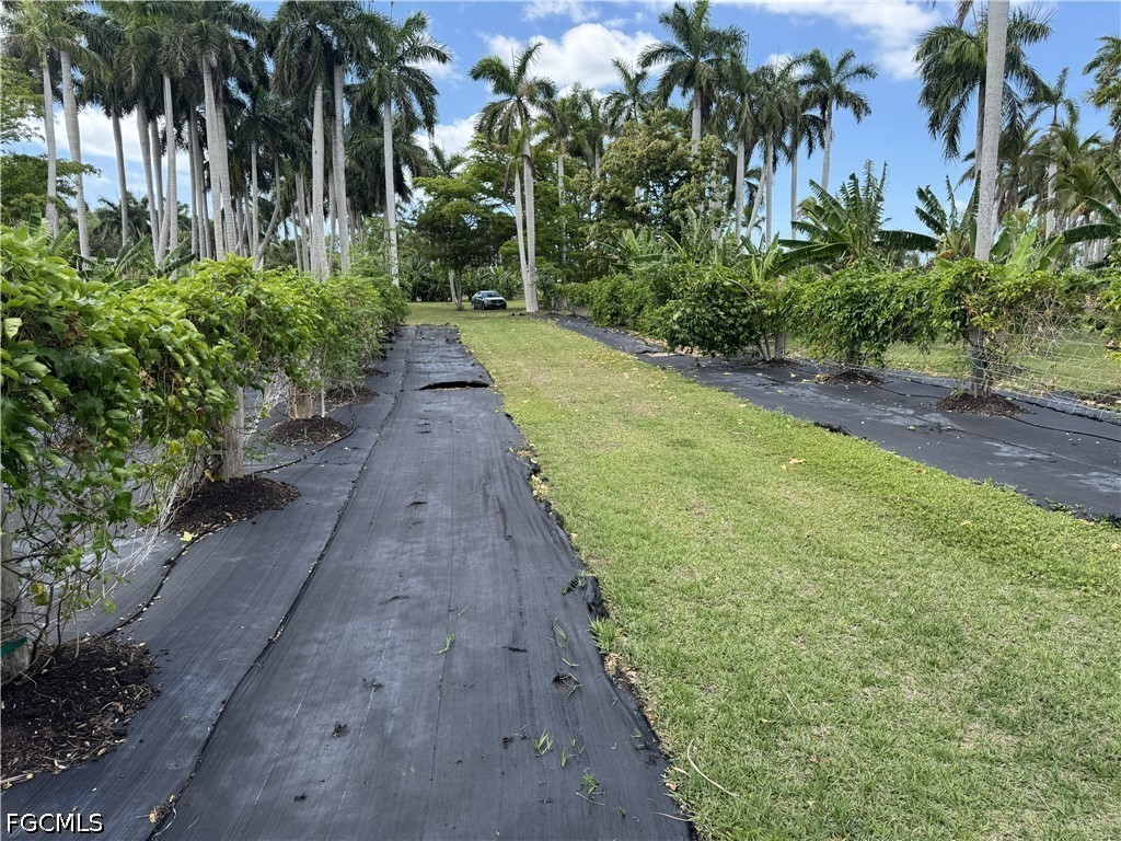 13641 Ficus Tree Lane Bokeelia, FL 33922 - Photo 14 of 33 a view of a backyard