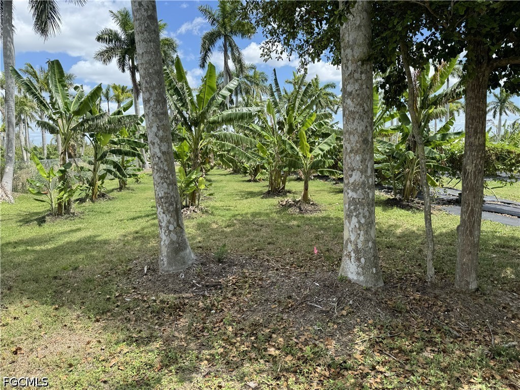 13641 Ficus Tree Lane Bokeelia, FL 33922 - Photo 17 of 33 a view of outdoor space with trees