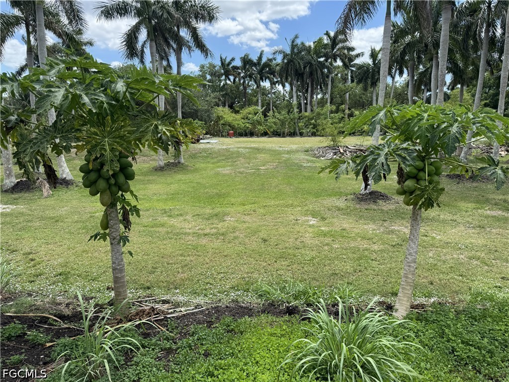 13641 Ficus Tree Lane Bokeelia, FL 33922 - Photo 23 of 33 a view of a garden